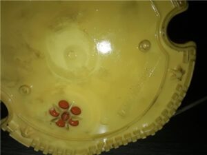 BMW Serie X1 (E84)(2009->)