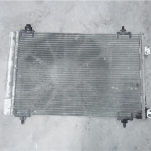 Citroen Berlingo Combi (2008->)