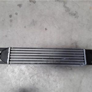 Fiat Linea (110)(2007->)