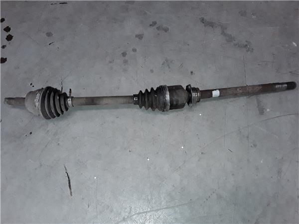 Fiat Linea (110)(2007->)