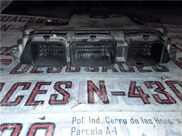 Nissan Primera Berlina (P12)(12.2001->)