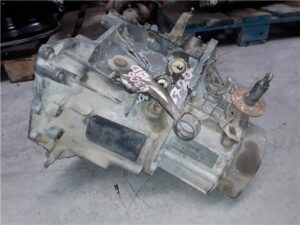 N5)