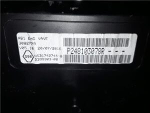 Renault Kangoo II (F/KW0)(2008->)