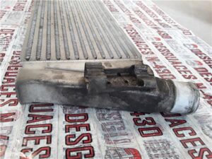 Renault Scenic II (JM)(2003->)