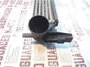 Volkswagen Polo V (6R1)(06.2009->)