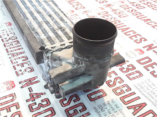 Volkswagen Polo V (6R1)(06.2009->)