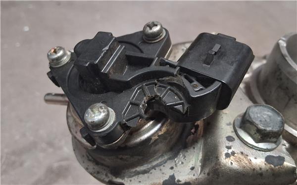 Citroen Berlingo Combi (2008->)