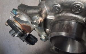 Citroen Berlingo Combi (2008->)