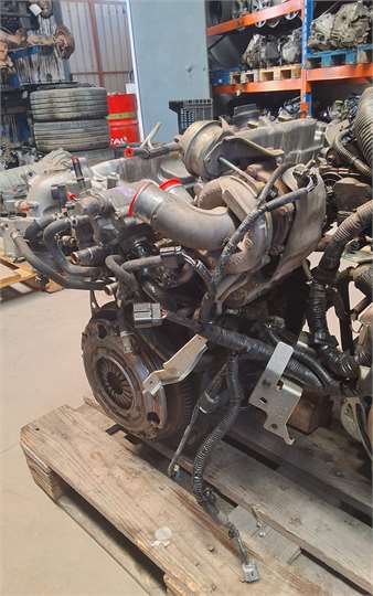 Toyota Corolla Verso (R1)(2004->)