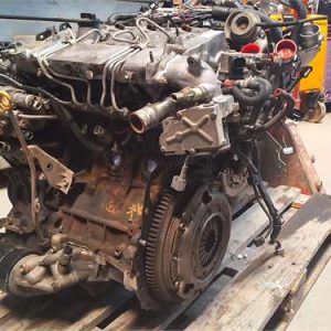 Toyota Corolla Verso (R1)(2004->)
