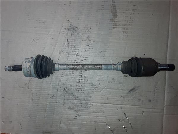 Fiat 500 (150) Berlina (2007->)