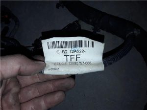 Ford Fiesta (CNN)(2012->)