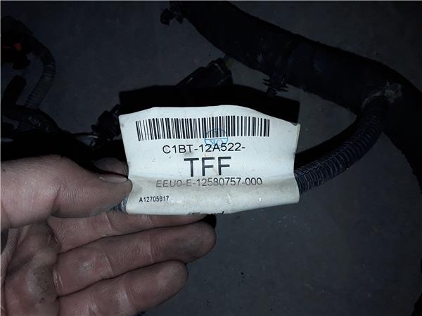 Ford Fiesta (CNN)(2012->)