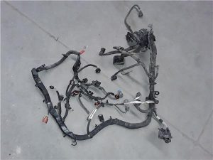 Ford Fiesta (CNN)(2012->)