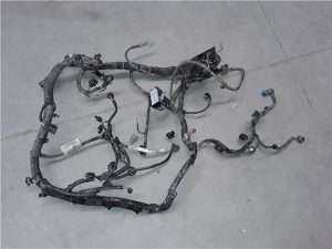 Ford Fiesta (CNN)(2012->)
