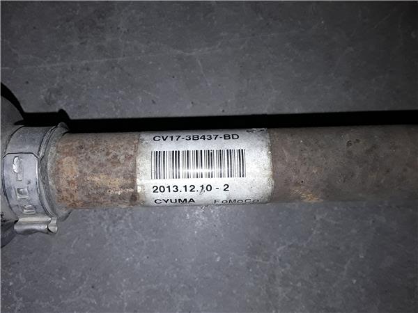 Ford Fiesta (CNN)(2012->)
