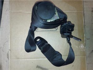 R53)(2001->)